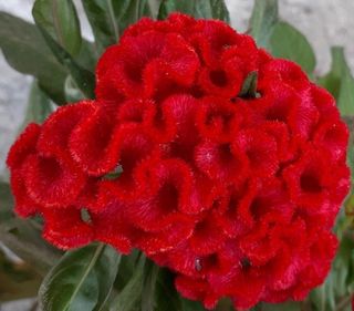 또비님의 자유주제 · 자유게시판 작성글 사진