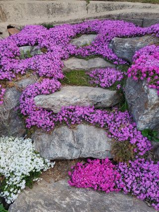 또비님의 자유주제 · 자유게시판 작성글 사진