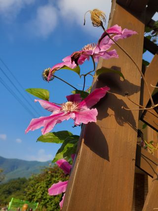 또비님의 자유주제 · 사진전 작성글 사진