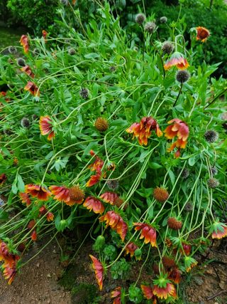 또비님의 자유주제 · 사진전 작성글 사진