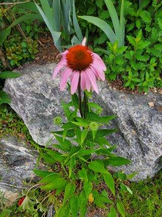 또비님의 자유주제 · 사진전 작성글 사진