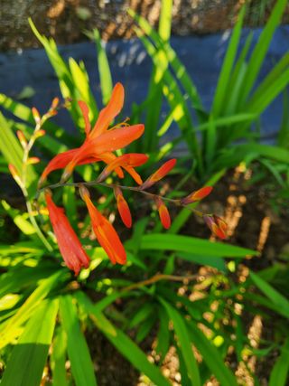 또비님의 자유주제 · 사진전 작성글 사진