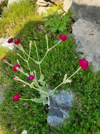 또비님의 자유주제 · 사진전 작성글 사진