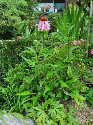 또비님의 자유주제 · 사진전 작성글 사진