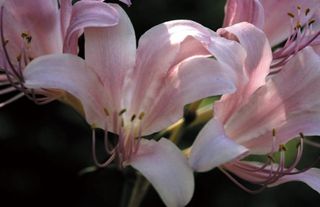 알 수 없음님의 기타작물 · 자유게시판 작성글 사진