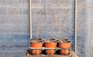 이정운님의 기타작물 · 자유게시판 작성글 사진