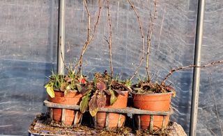 이정운님의 기타작물 · 자유게시판 작성글 사진