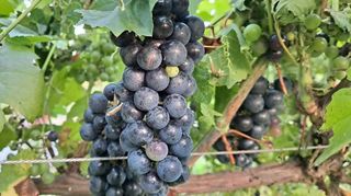 이정운님의 기타작물 · 자유게시판 작성글 사진