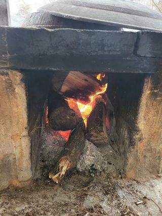 김경순님의 콩 · 자유게시판 작성글 사진