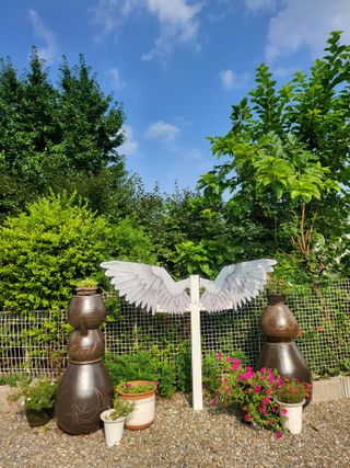 김경순님의 콩 · 자유게시판 작성글 사진