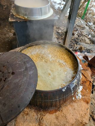 김경순님의 콩 · 자유게시판 작성글 사진