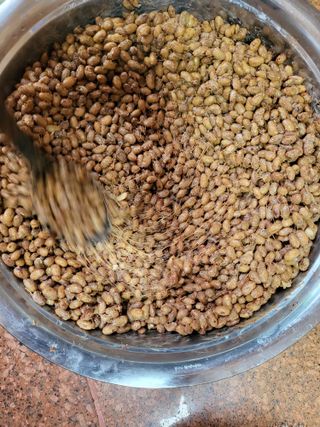 김경순님의 콩 · 자유게시판 작성글 사진