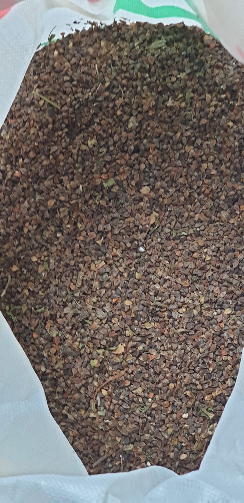 장터 상품 [메 밀(거래완료)] 썸네일