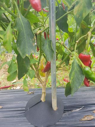 바이털사인님의 작성글 사진