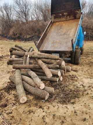 최군환님의 버섯 · 일상 작성글 사진