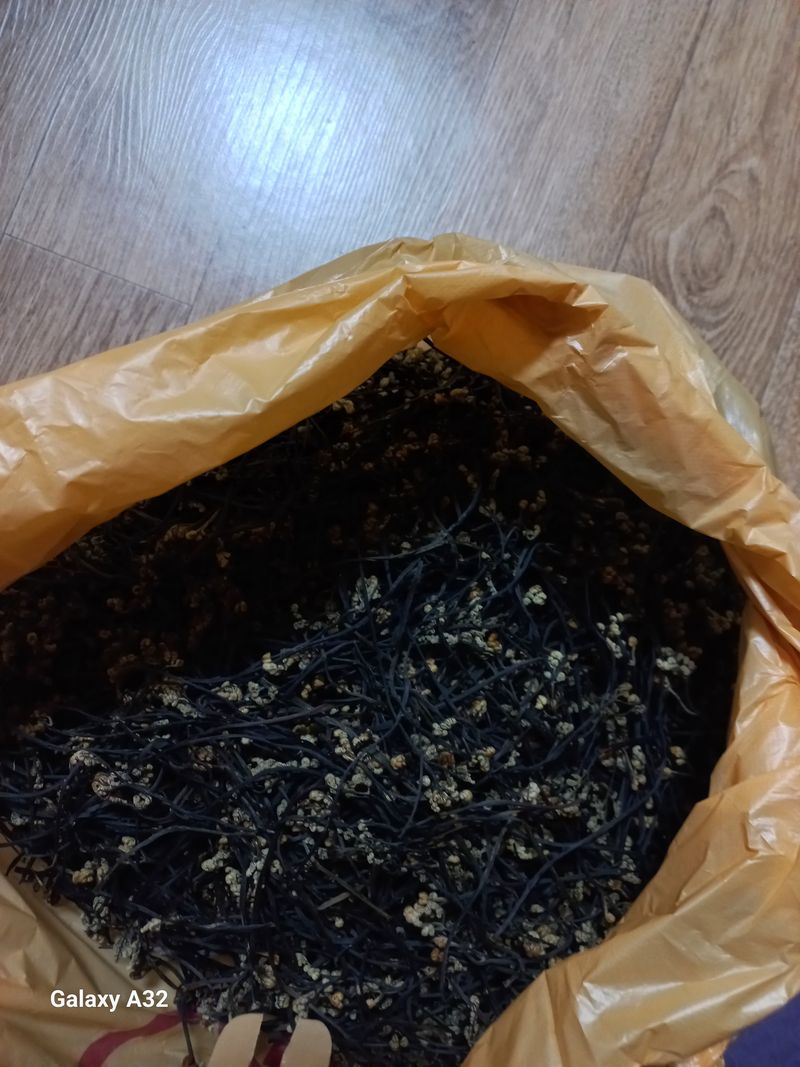 박영주님의 장터 판매 상품 [제주산 고사리 ,고추가루] 첨부 사진