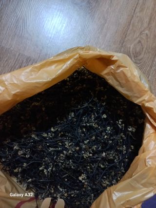 박영주님의 작성글 사진