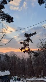 팜모닝 팜모닝에게 바라는 것은?·참여글 게시글 이미지