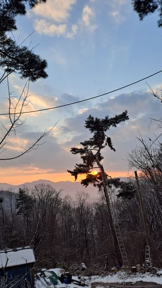 아로마moon님의 팜모닝에게 바라는 것은? · 참여글 작성글 사진