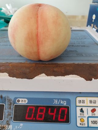 신창희님의 팜모닝에게 바라는 것은? · 참여글 작성글 사진