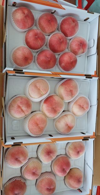 신창희님의 팜모닝에게 바라는 것은? · 참여글 작성글 사진