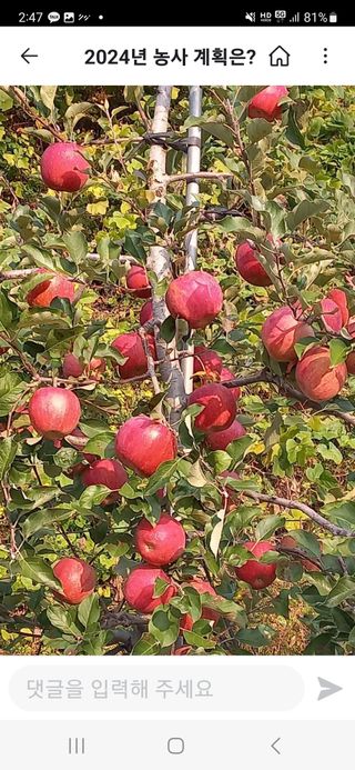 스마일님의 작성글 사진