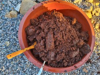 진여화 농원님의 자유주제 · 자유게시판 작성글 사진