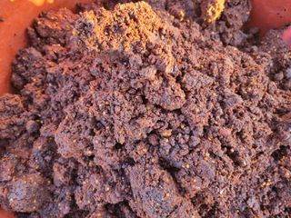 진여화 농원님의 자유주제 · 자유게시판 작성글 사진