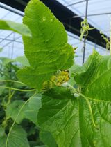 팜모닝 농사, 무엇이든 물어보세요!·참여글 게시글 이미지