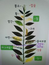팜모닝 농사, 무엇이든 물어보세요!·참여글 게시글 이미지