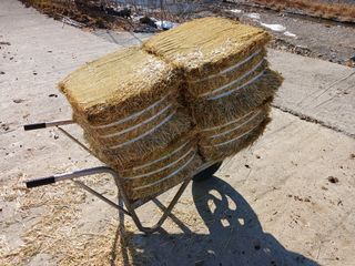 알 수 없음님의 우리동네 · 동네수다 작성글 사진