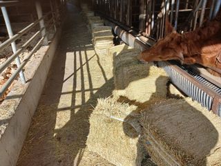 알 수 없음님의 우리동네 · 동네수다 작성글 사진