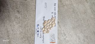 접시꽃님의 호박 · 자유게시판 작성글 사진