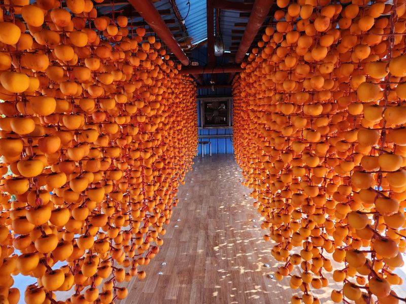 한상섭님의 장터 판매 상품 [상주곶감(팩)수량한정할인] 첨부 사진