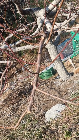 푸른꿈님의 자유주제 · 자유게시판 작성글 사진