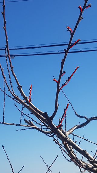 푸른꿈님의 자유주제 · 자유게시판 작성글 사진