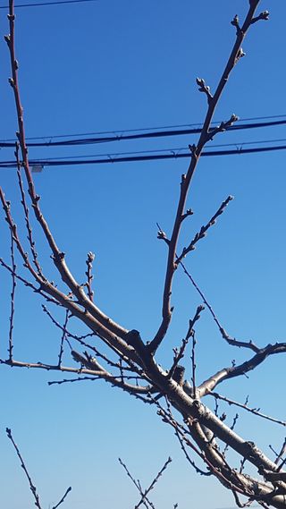 푸른꿈님의 자유주제 · 자유게시판 작성글 사진