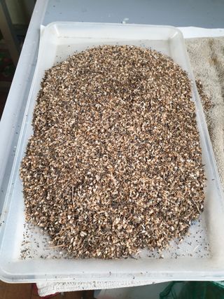 가인 5362님의 기타작물 · 자유게시판 작성글 사진