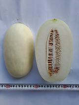 팜모닝 기타작물·자유게시판 게시글 이미지