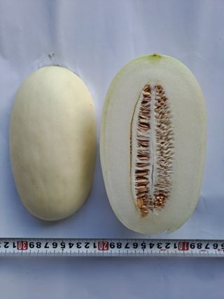 3703 7011님의 기타작물 · 자유게시판 작성글 사진