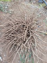 팜모닝 · 게시글 이미지