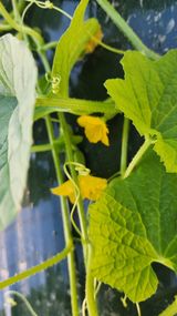 팜모닝 자유주제·자유게시판 게시글 이미지