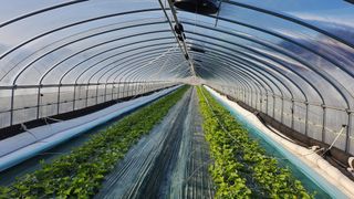 수반들농원님의 자유주제 · 자유게시판 작성글 사진