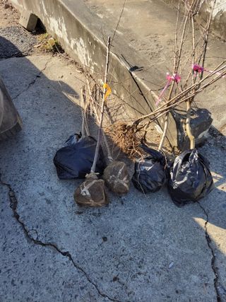 박정희 님의 장터이야기 · 자유게시판 작성글 사진