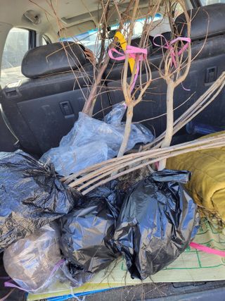 박정희 님의 장터이야기 · 자유게시판 작성글 사진