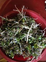 팜모닝 자유주제·자유게시판 게시글 이미지