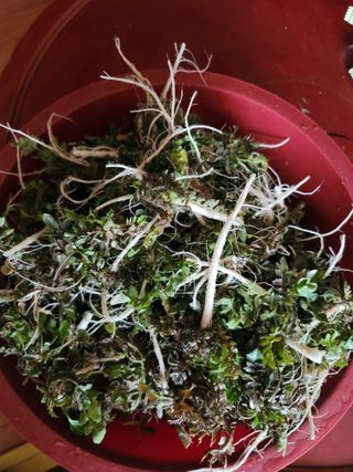 꽁지머리님의 자유주제 · 자유게시판 작성글 사진