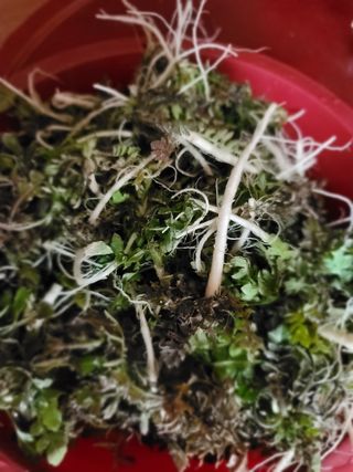 꽁지머리님의 자유주제 · 자유게시판 작성글 사진