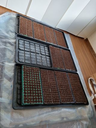 해뜰녁농장박양현님의 고추 · 파종•정식 작성글 사진