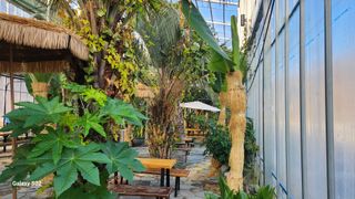 이순철님의 팜모닝에게 바라는 것은? · 참여글 작성글 사진